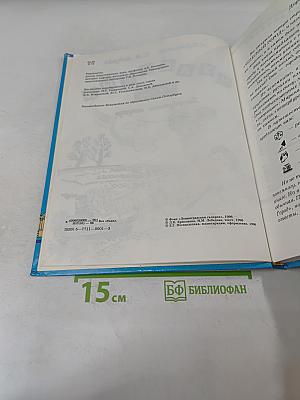 Чудесный город. Петербургская тетрадь