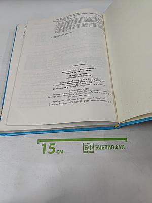 Чудесный город. Петербургская тетрадь