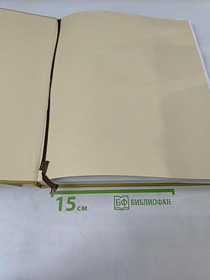 Васильев