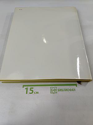Васильев