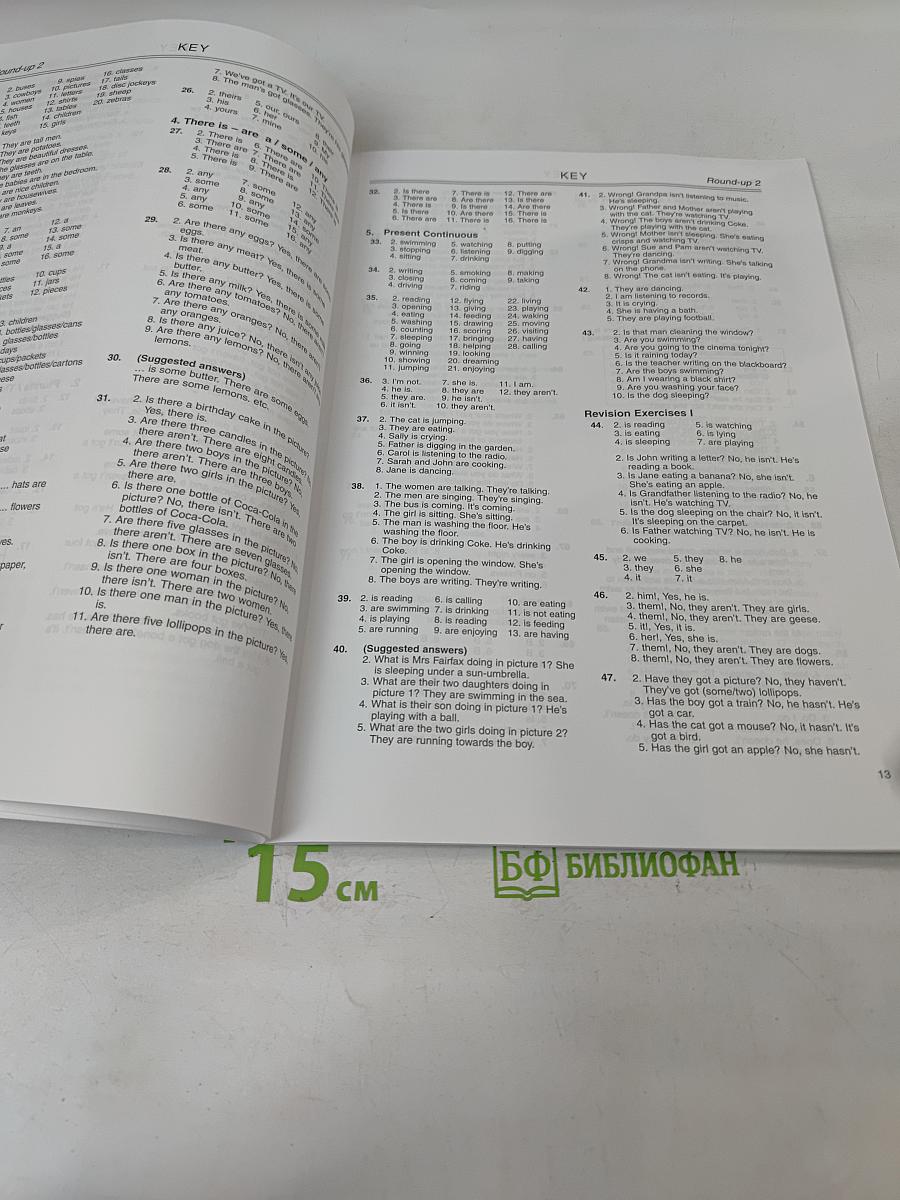 Round-Up 2 Teacher's Guide