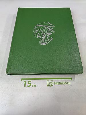 Грибы