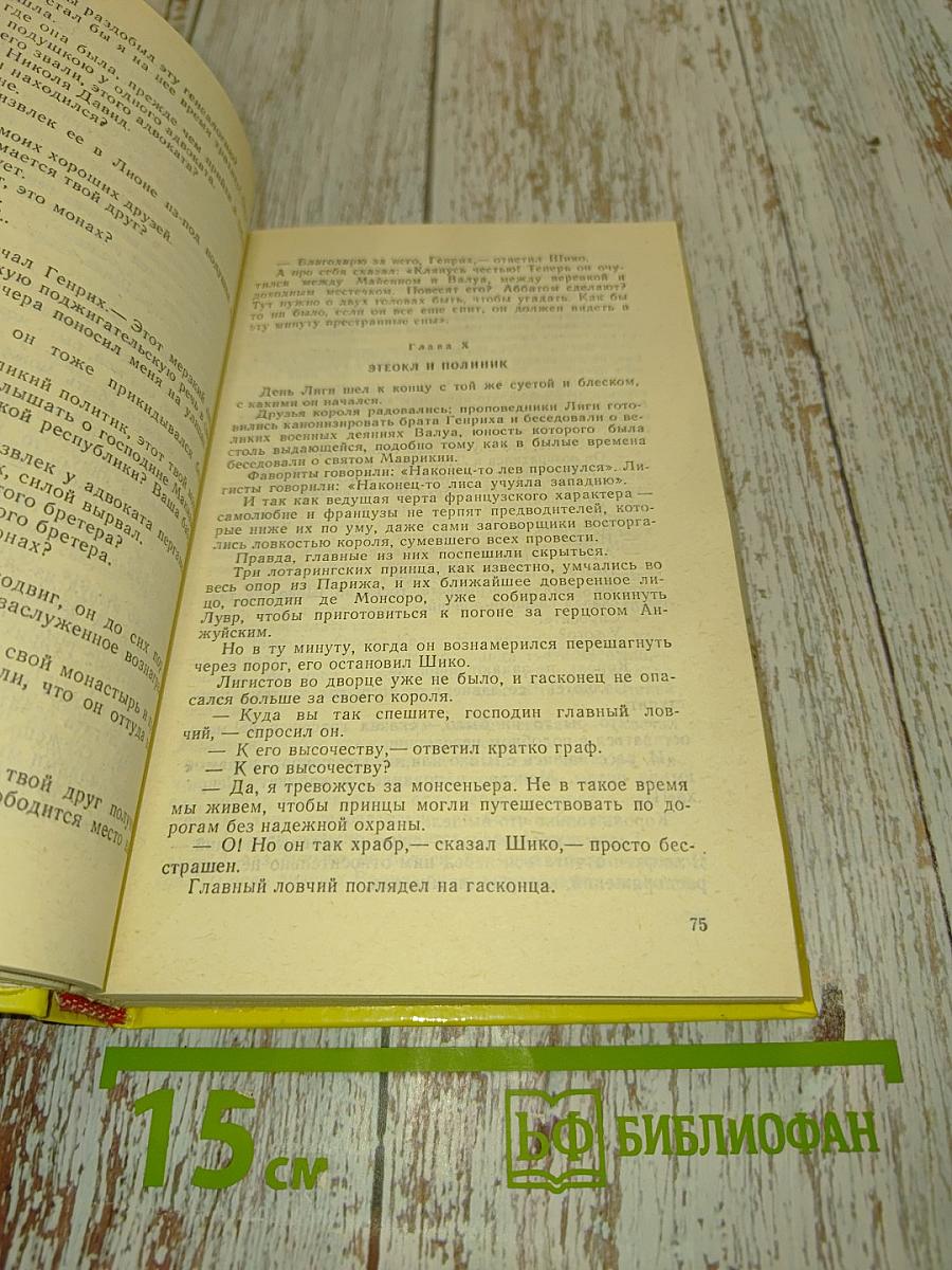 Графиня де Монсоро. Том II