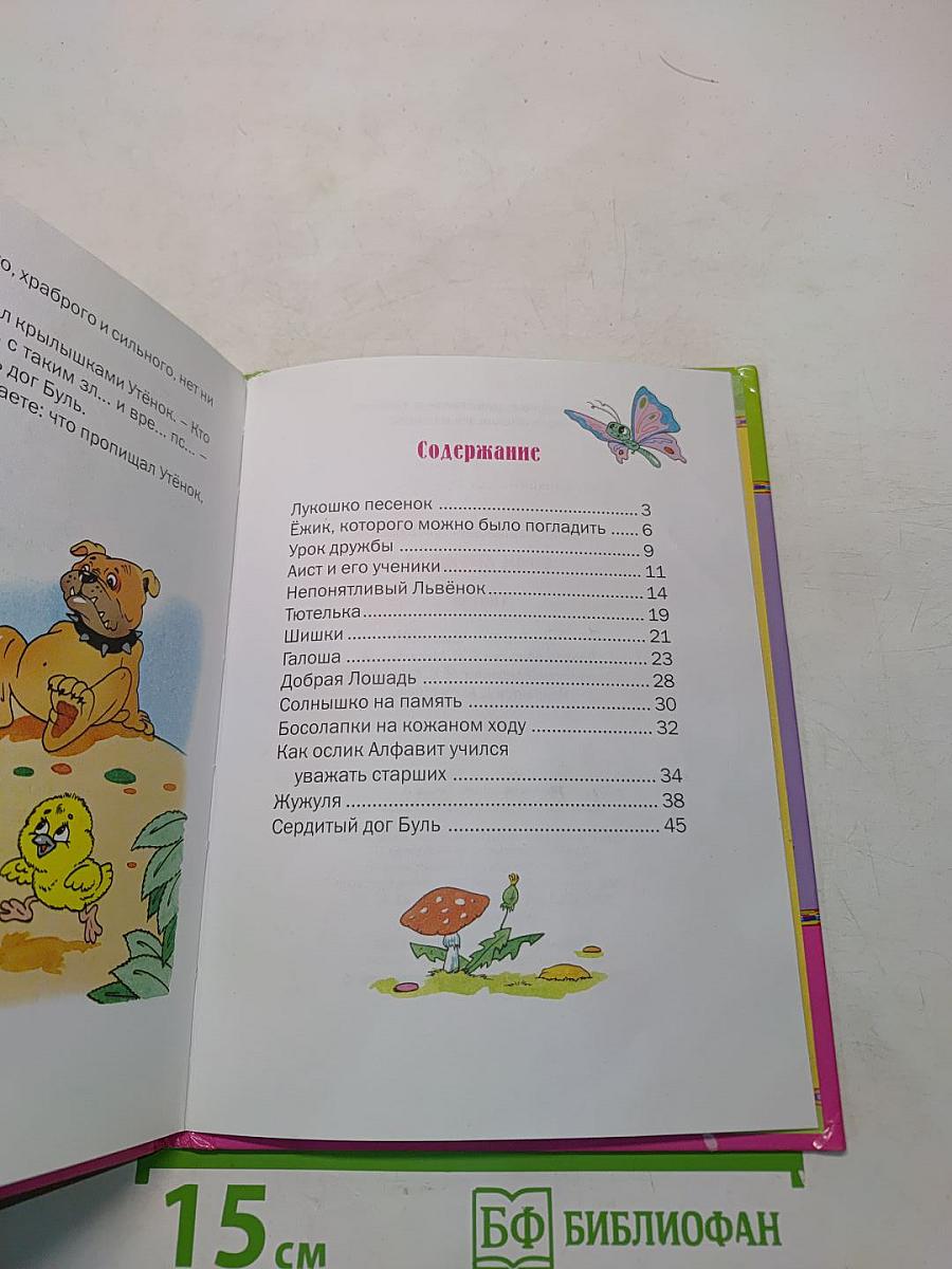 Урок дружбы