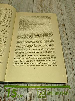 Собрание сочинений. Том двадцать пятый. Наш общий друг. Книги третья и четвертая