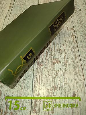 Собрание сочинений. Том двадцать пятый. Наш общий друг. Книги третья и четвертая