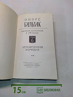 Человеческая комедия. Том 6