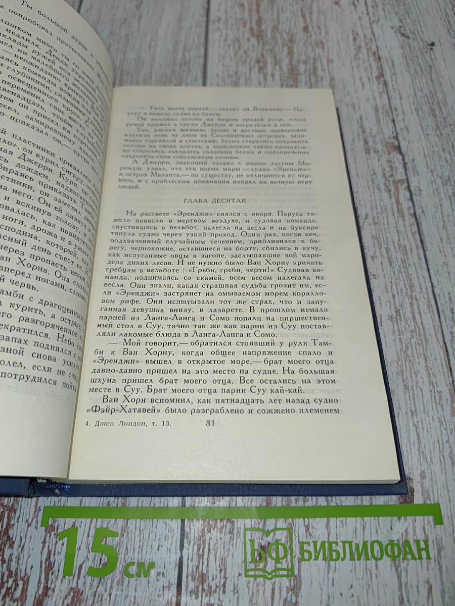 Собрание сочинений в тринадцати томах. Том 13