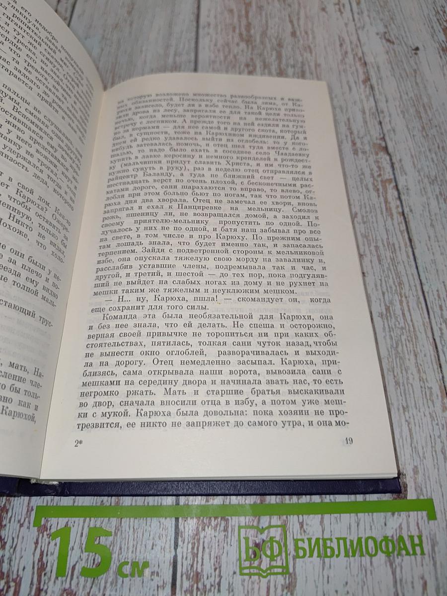 Собрание сочинений в восьми томах. Том шестой. Карюха. Драчуны