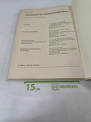 Wir und die Katzen
