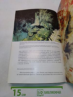 Сюрпризы моря