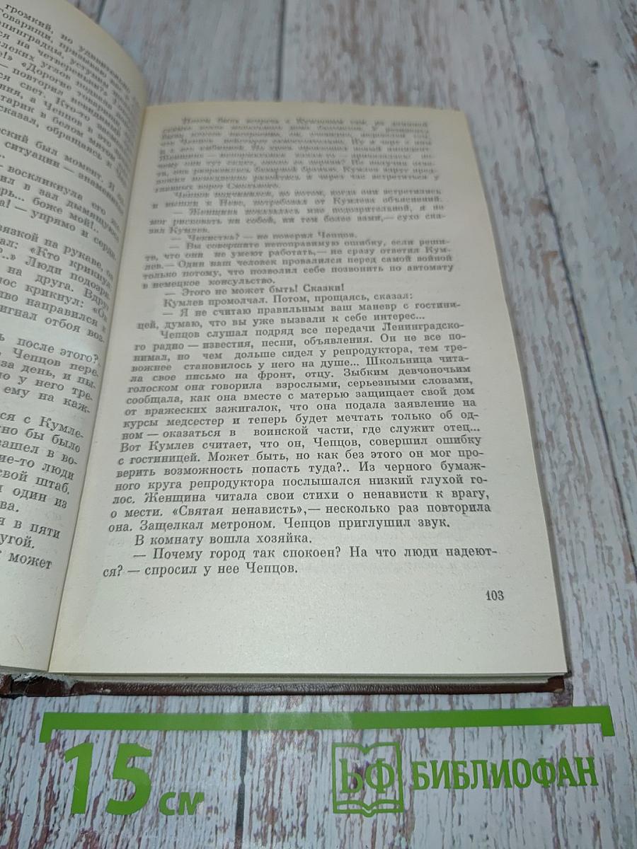 Советский детектив. Ленинградская зима. Я 11-17. Ответная операция