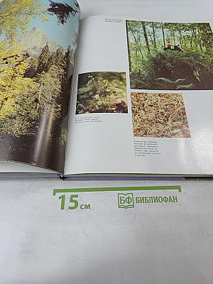 По Кавказскому заповеднику