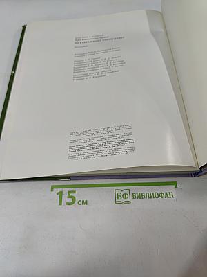 По Кавказскому заповеднику