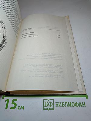 Монахи под луной