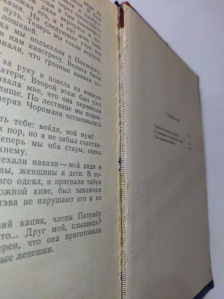 Ошибка Одинокого Бизона и другие повести