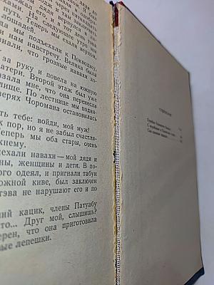 Ошибка Одинокого Бизона и другие повести