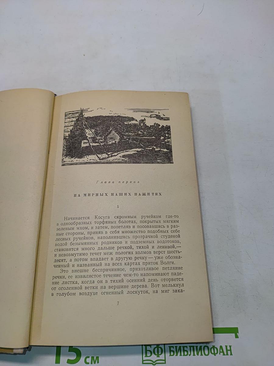 В тихом краю