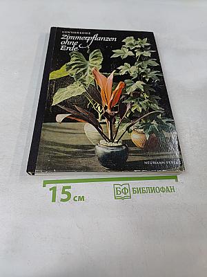 Zimmerpflanzen ohne Erde