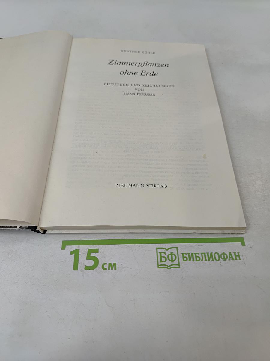 Zimmerpflanzen ohne Erde