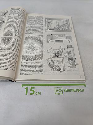Zimmerpflanzen ohne Erde