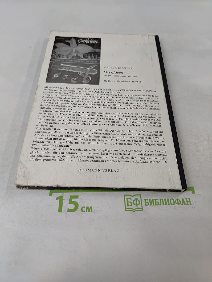 Zimmerpflanzen ohne Erde
