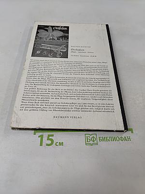 Zimmerpflanzen ohne Erde