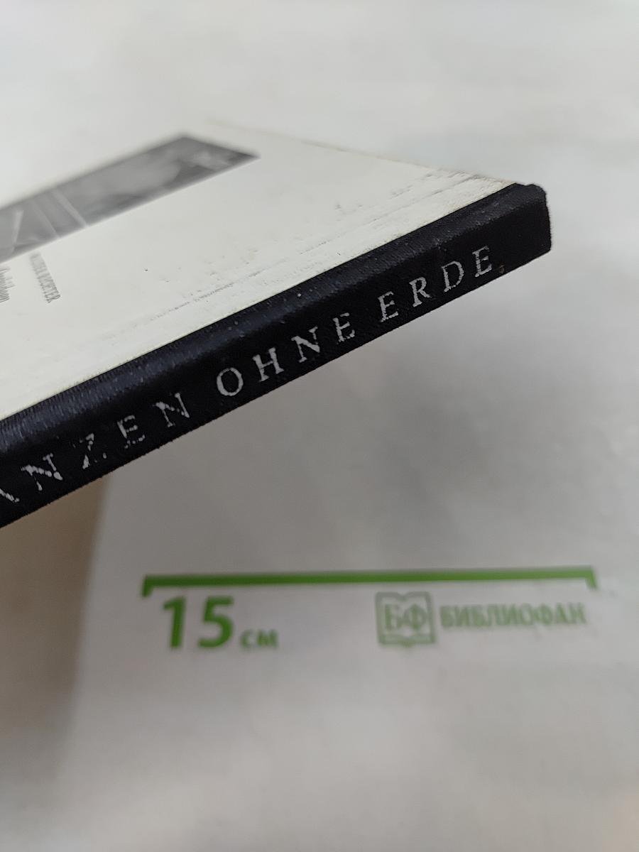 Zimmerpflanzen ohne Erde