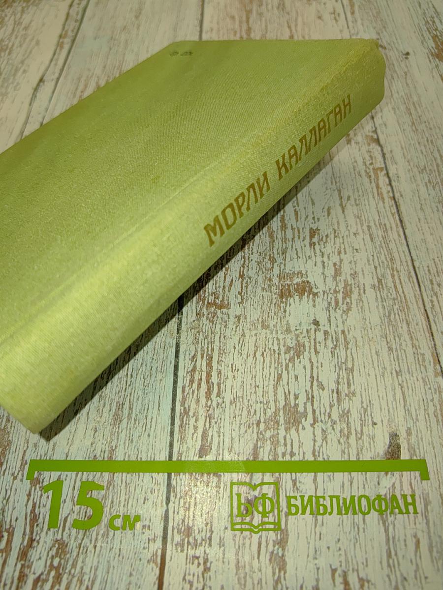 Радость на небесах. Тихий уголок. И снова к солнцу