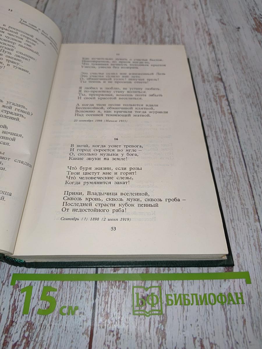 Стихотворения и поэмы. Том 1
