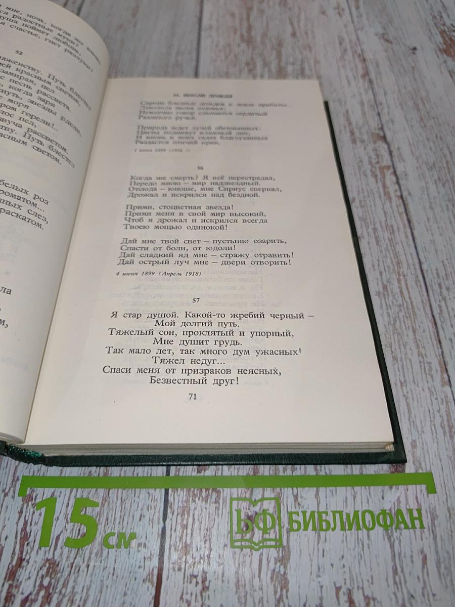 Стихотворения и поэмы. Том 1