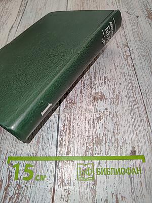 Стихотворения и поэмы. Том 1
