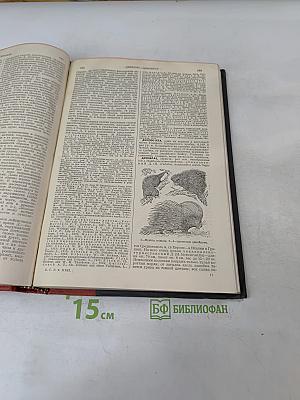 Большая Советская Энциклопедия. Том двадцать второй. Джуна - Договор торговый
