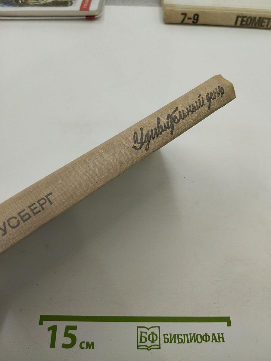 Удивительный день