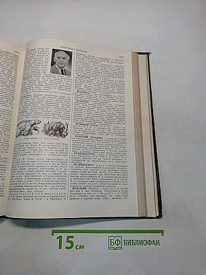 Малая Советская Энциклопедия. Том 5. Котантен — Минерва