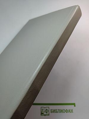 К Звездам. Книга первая. Мир Родины