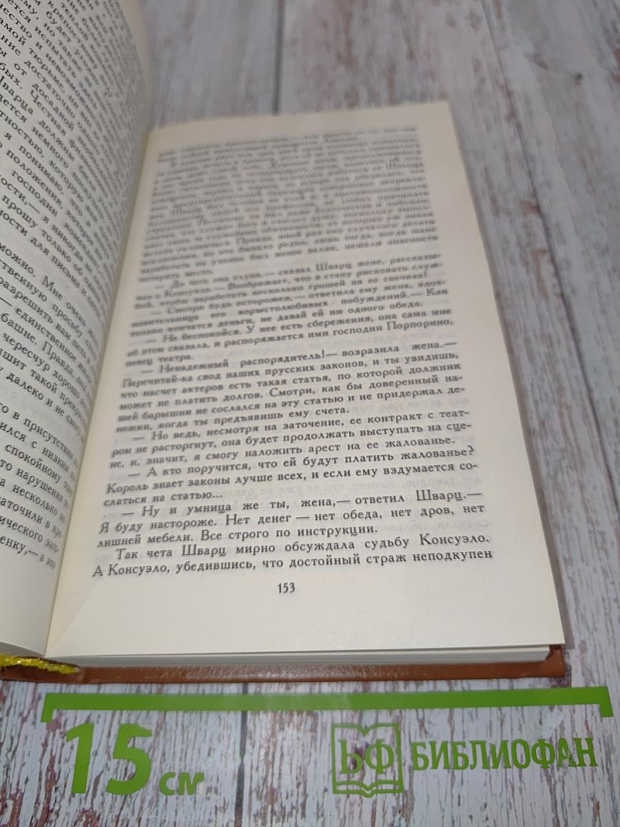 Графиня Рудольштадт