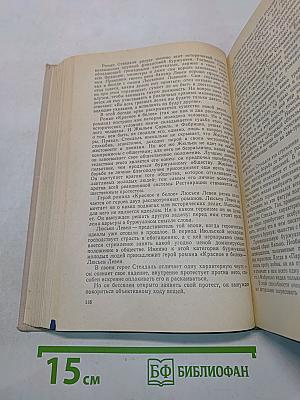 История зарубежной литературы XIX века