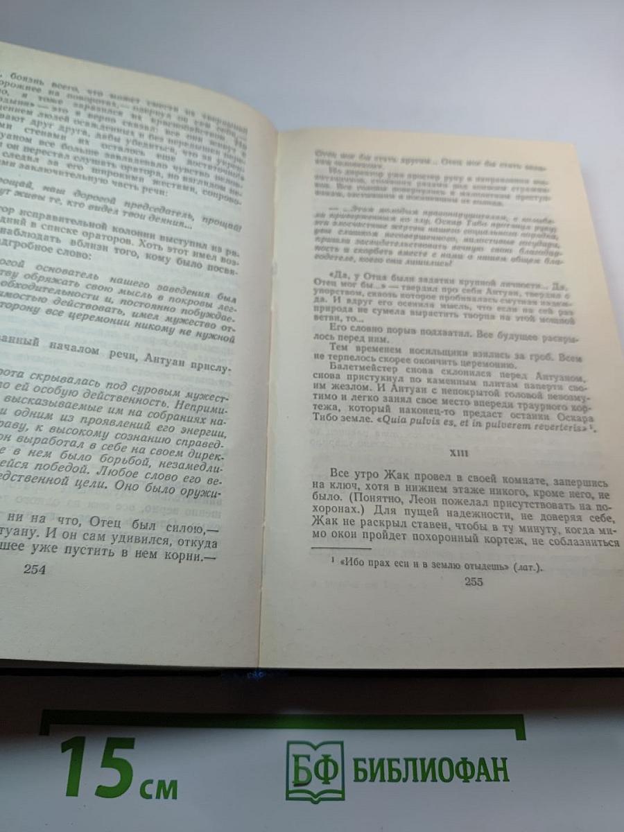 Семья Тибо, Том 2