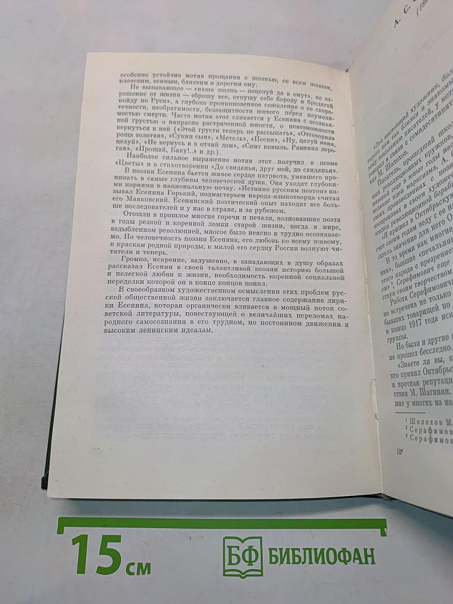 История русской советской литературы (1917-1940)