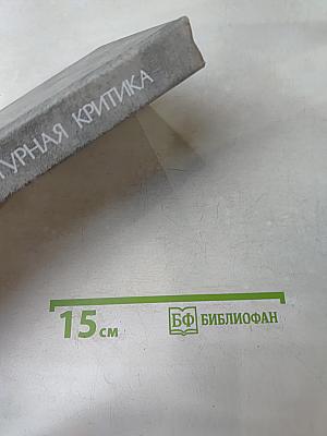 Русская литературная критика конца XIX - начала XX века. Хрестоматия
