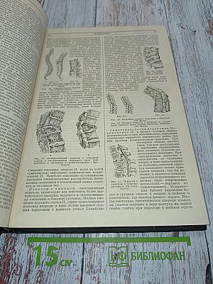 Большая медицинская энциклопедия. Том двадцать шестой. Подвысокции – Почки