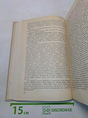 История зарубежной литературы XIX века