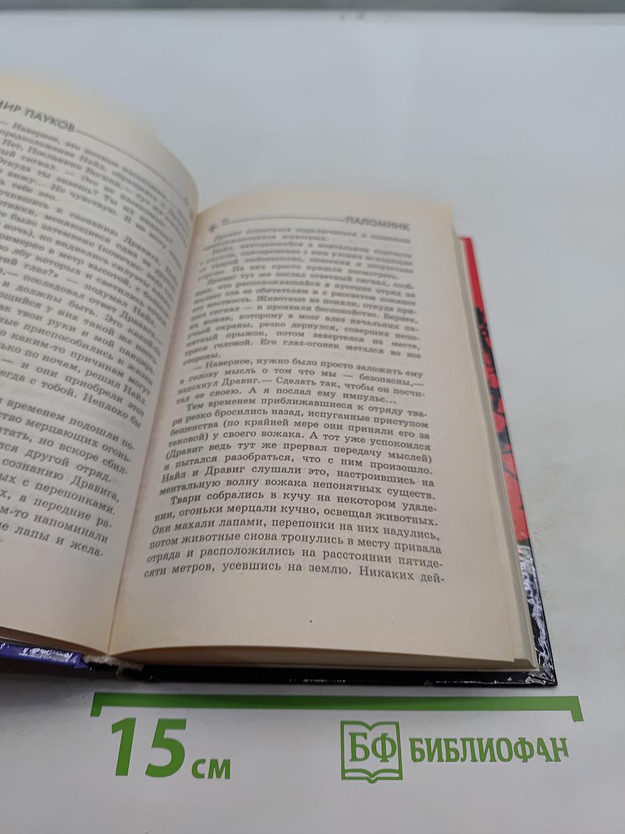 Мир Пауков. Паломник