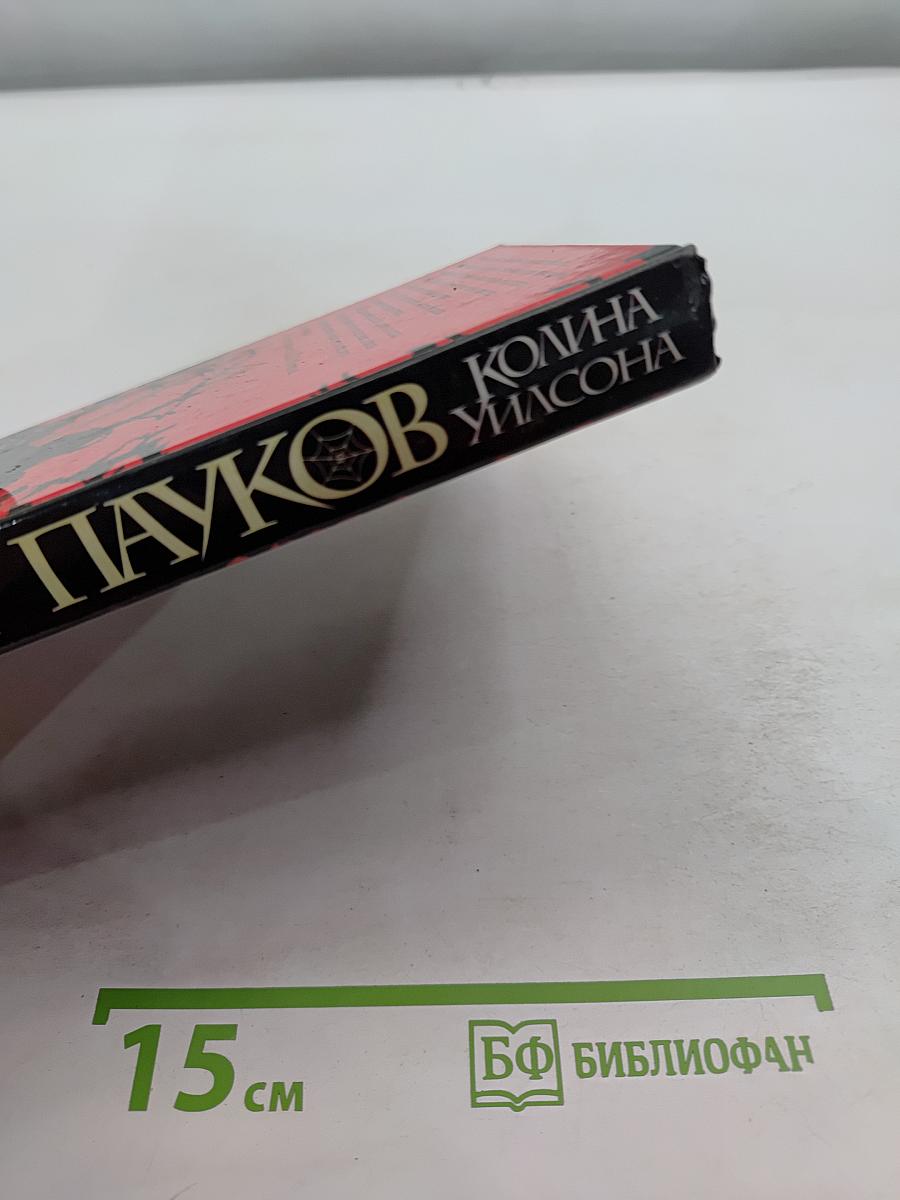 Мир Пауков. Паломник