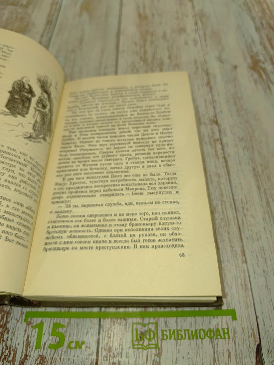 Собрание сочинений. Том двенадцатый. Ругон-Маккары. Трясина