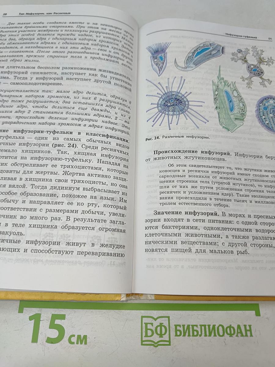 Зоология. Беспозвоночные. Учебник для учащихся школ, гимназий и лицеев