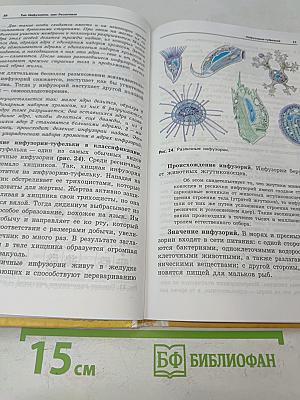 Зоология. Беспозвоночные. Учебник для учащихся школ, гимназий и лицеев