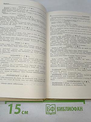 Словарь омонимов русского языка