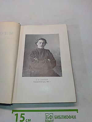 Пьесы. Том 6. 1901-1906